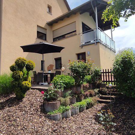 Zum Buchenblick Apartment Sankt Wendel Exterior foto